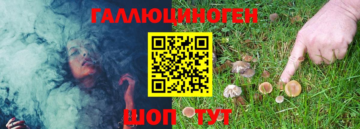 Псилоцибиновые грибы GOLDEN TEACHER  Вход с VPN  Пугачёв 
